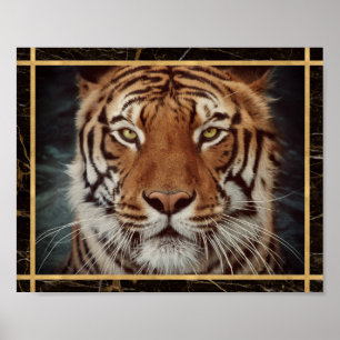 Foto Imagem Impressa Poster da Face do Tigre