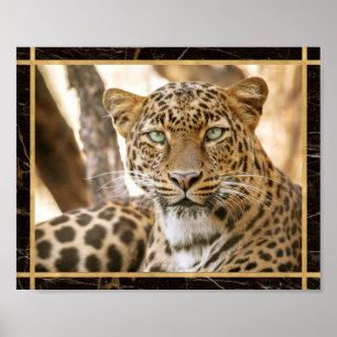 Foto Imagem Impressão Poster de Gato Leopardo