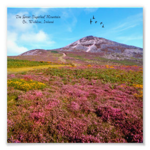 Foto Imagem irlandesa para NullValue-Photo-Extension