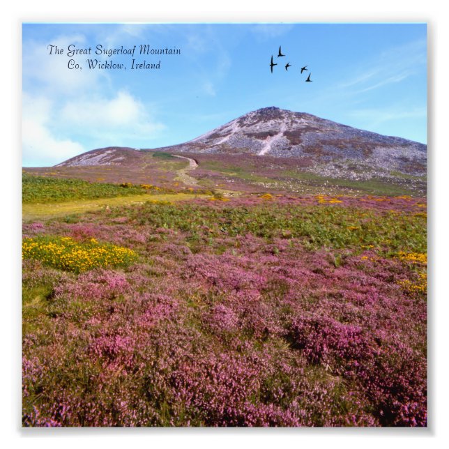 Foto Imagem irlandesa para NullValue-Photo-Extension (Frente)