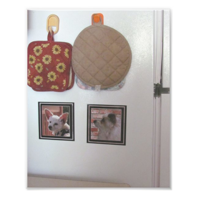 Foto Imãs de geladeira de amostra (Frente)