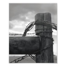 Impressão 8x10 - Wood & the Wire