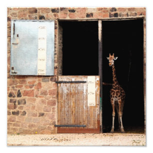 Foto Impressão da arte de Priya Digital