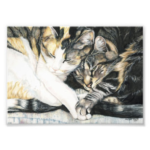 Foto Impressão da arte do afago do gato