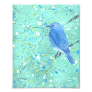 Foto Impressão da arte do Bluebird