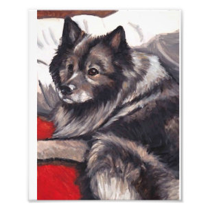 Foto Impressão da arte do cão do Keeshond