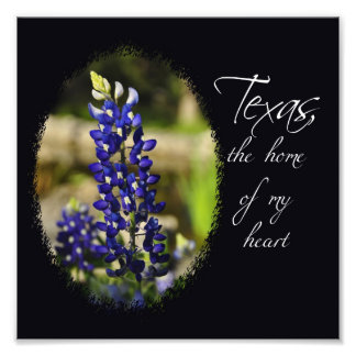 Foto Impressão da Bluebonnet "Texas, o lar do meu coraç