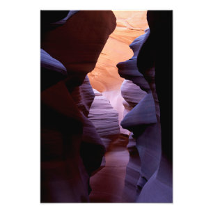 Foto Impressão da garganta do antílope