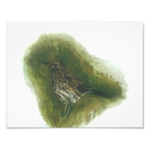 Foto Impressão de aquarela de galinha