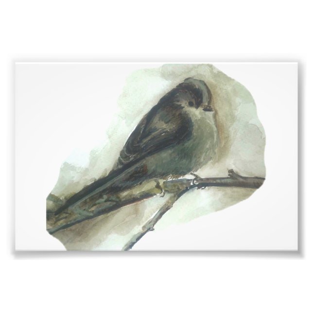 Foto Impressão de aquarela do jardim de cauda longa (Frente)