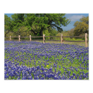 Foto Impressão de Arte Fotográfica do País Texas Blu