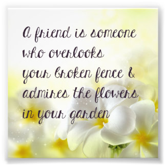 Foto Impressão de Cota Amigo