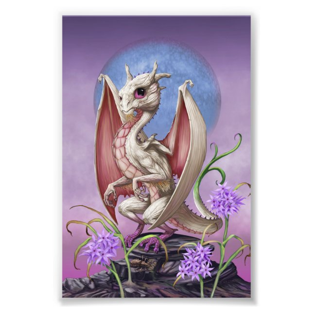 Foto Impressão de Dragão de Alho 4x6 (Frente)