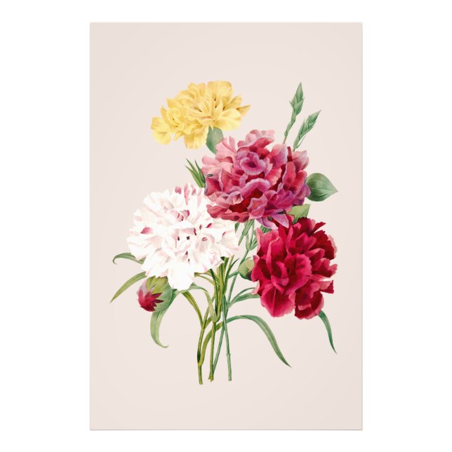 Foto Impressão de Flores de Cravagem Vintage (Frente)