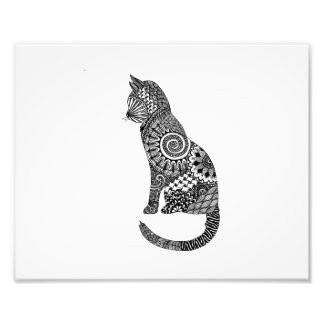 Foto impressão de gato