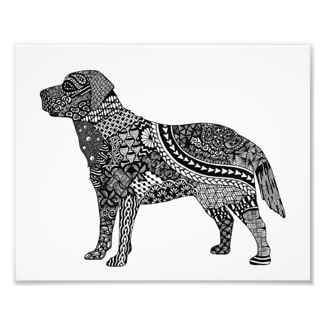 Foto impressão de laboratório (Frente)