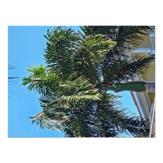 Foto Impressão de palmeira (Frente)