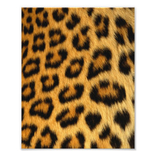 Foto Impressão de peles de leopardo