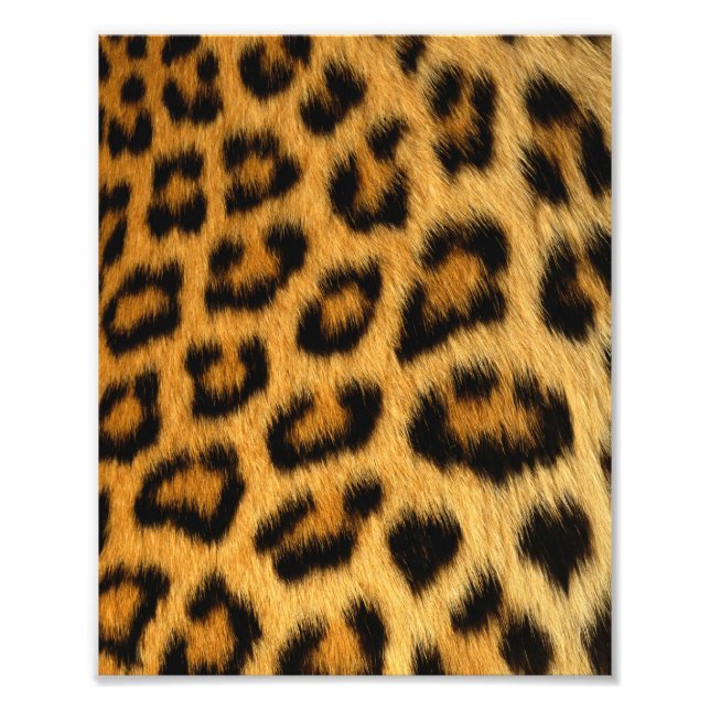 Foto Impressão de peles de leopardo (Frente)