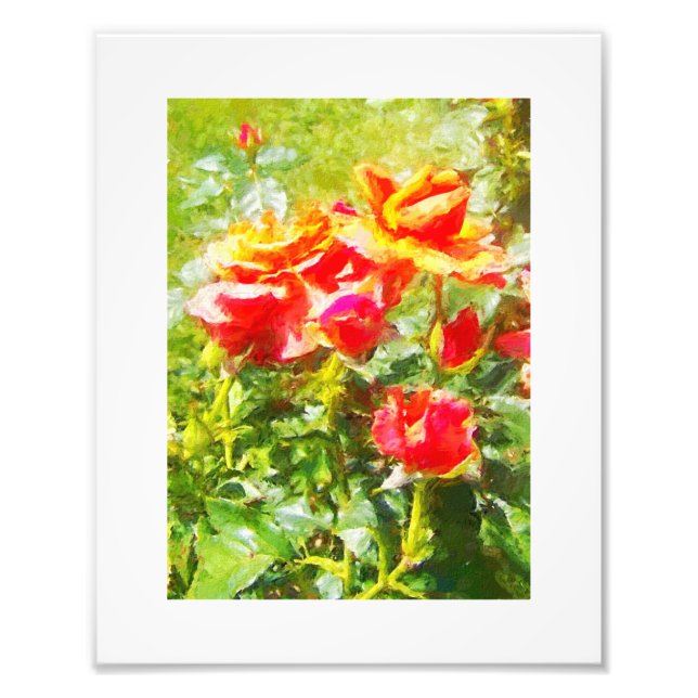 Foto IMPRESSÃO de Rosas laranja KODAK (Frente)