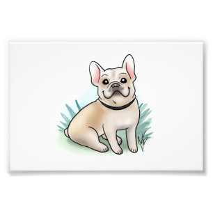 Foto Impressão do buldogue francês