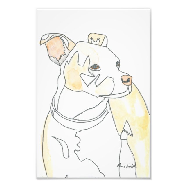 Foto Impressão do Cachorrinho Dourado (Frente)
