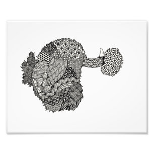 Foto impressão do chuveiro silkie