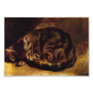Foto Impressão do gato do sono de Renoir