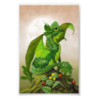 Foto Impressão do Spinach Dragon 4x6