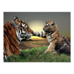 Foto Impressão do tigre e da edição de Cub Digital