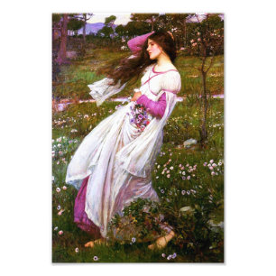 Foto Impressão dos Windflowers do Waterhouse