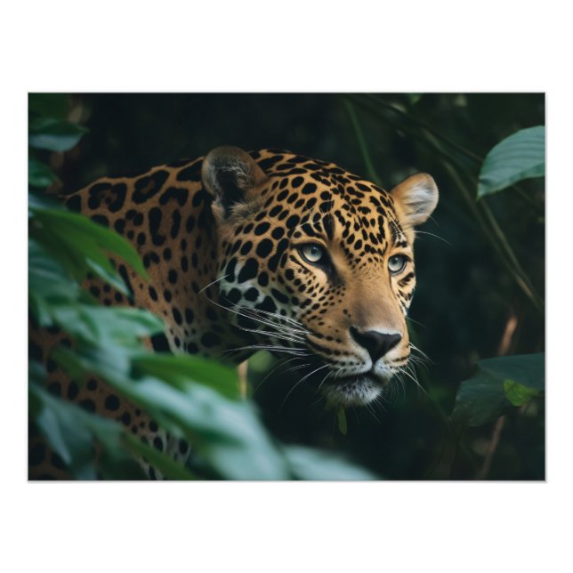 Foto Impressão Fotográfica-Leopardo (Frente)
