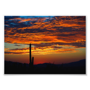 Foto Impressão Fotográfica-Por do Sol do Cacto do Sudoe