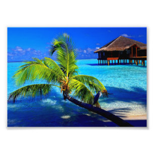 Foto Impressão Fotográfica-Praia Tropical
