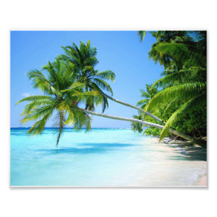 Foto Impressão Fotográfica-Praia Tropical