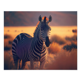 Foto Impressão Fotográfica-Zebra