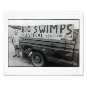 Foto Impressão grande de Swimps…