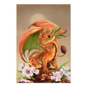 Foto Impressão Peach Dragon 13x19