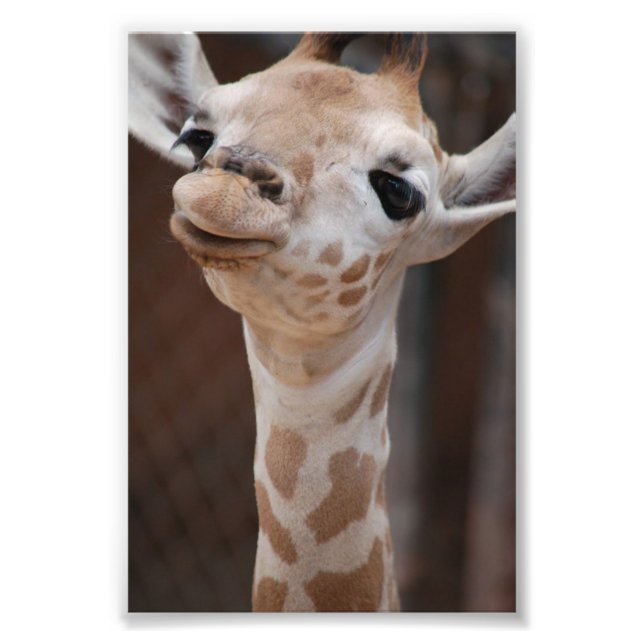 Foto Impressão princesa 4X6 nº 1 (Frente)