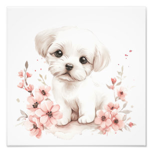 Foto Impressões de Berçário de Filhotes e Sala de Crian