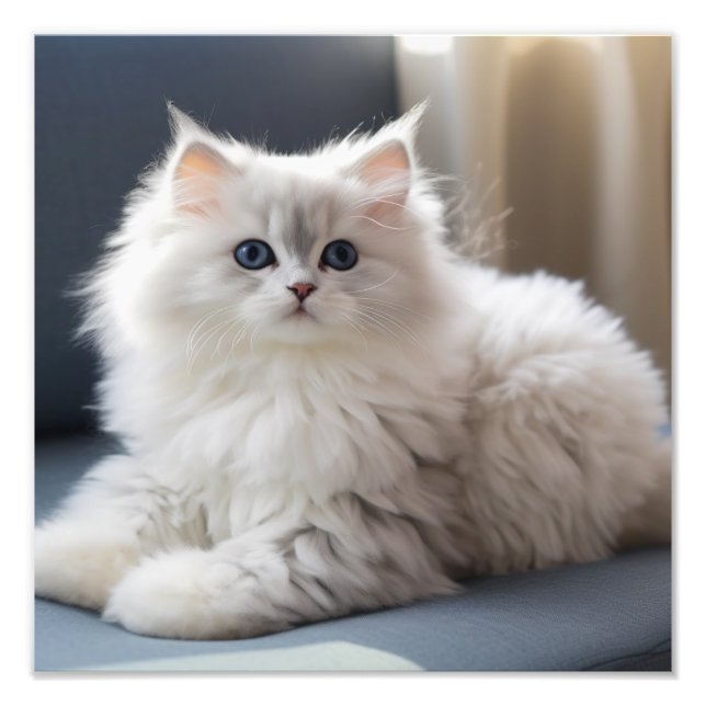 Foto Impressões de Berçário de Gatinhos e Quarto de Cri (Frente)