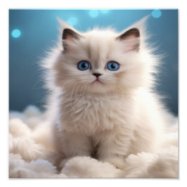 Foto Impressões de Berçário de Gatinhos e Quarto de Cri