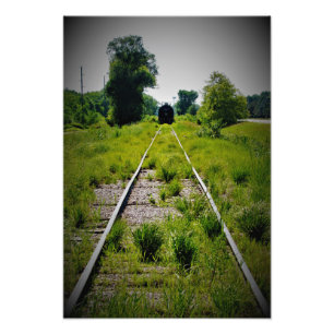 Foto "Indulação em Pastagens Verdes"