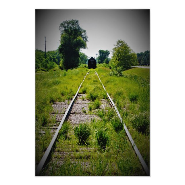 Foto "Indulação em Pastagens Verdes" (Frente)