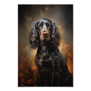 Foto Inglês Cocker Spaniel