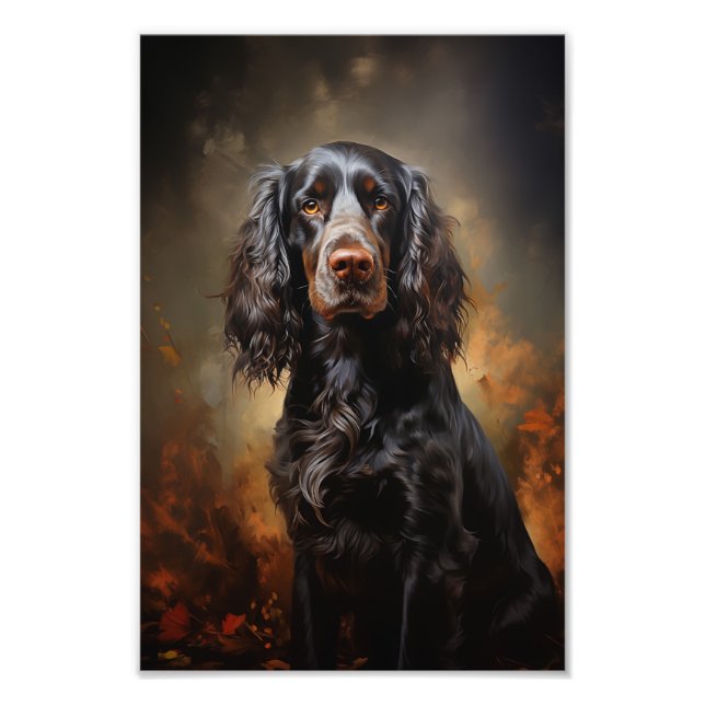 Foto Inglês Cocker Spaniel (Frente)