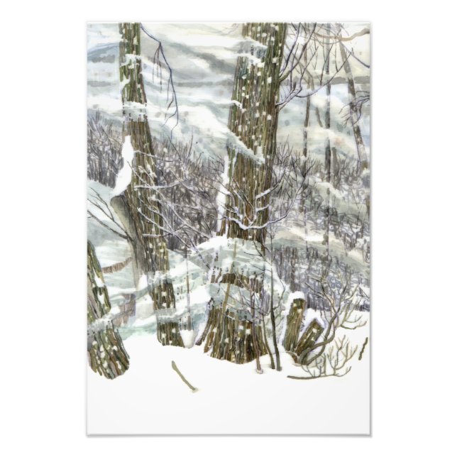 Foto Inverno (Frente)