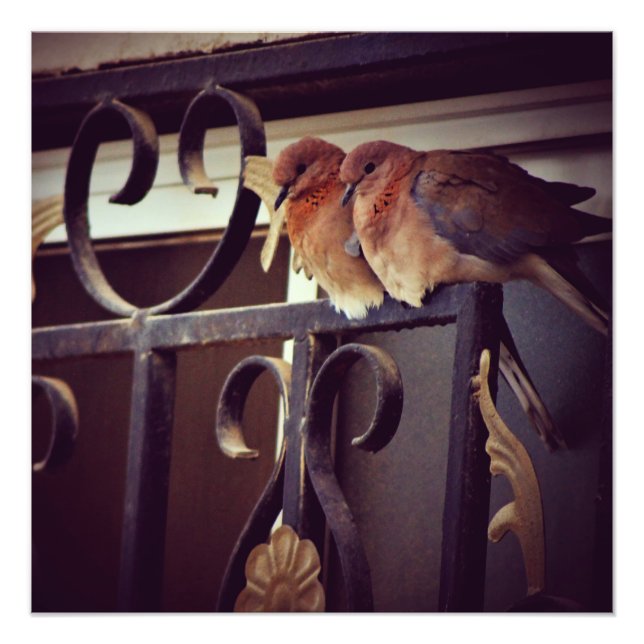 Foto Inverno (Frente)