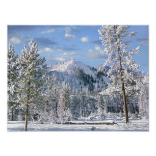 Foto Inverno no Parque Nacional de Yellowstone, Wyoming