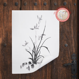 Foto Íris chinesa - bw